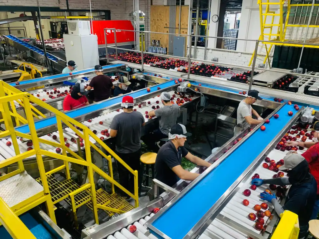 延安农产品电商供应链质量管控要点与标准化路径分析正文配图 1