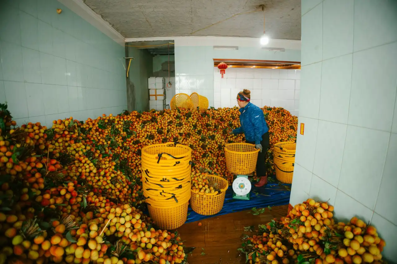 延安酷炫电子商务有限公司农产品电商平台的产品质量控制方案解析正文配图 1