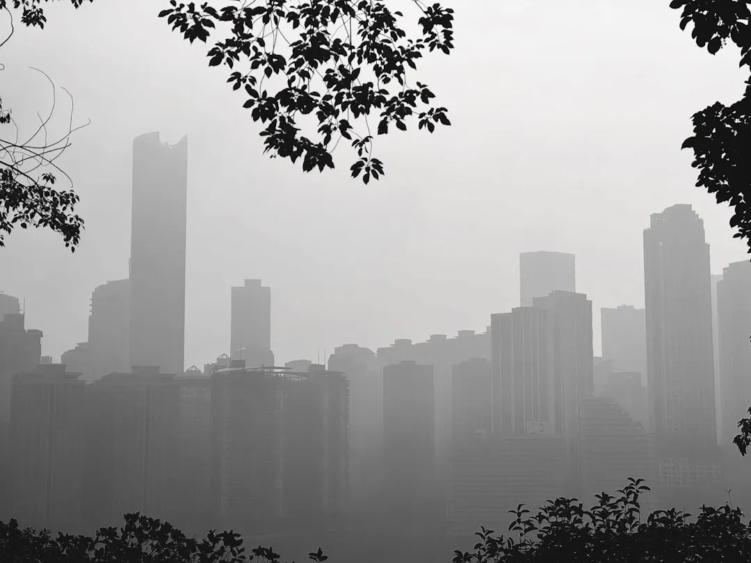 拼好药品牌农产品电子商务平台技术架构与性能优势解析